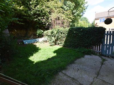 Picture 14